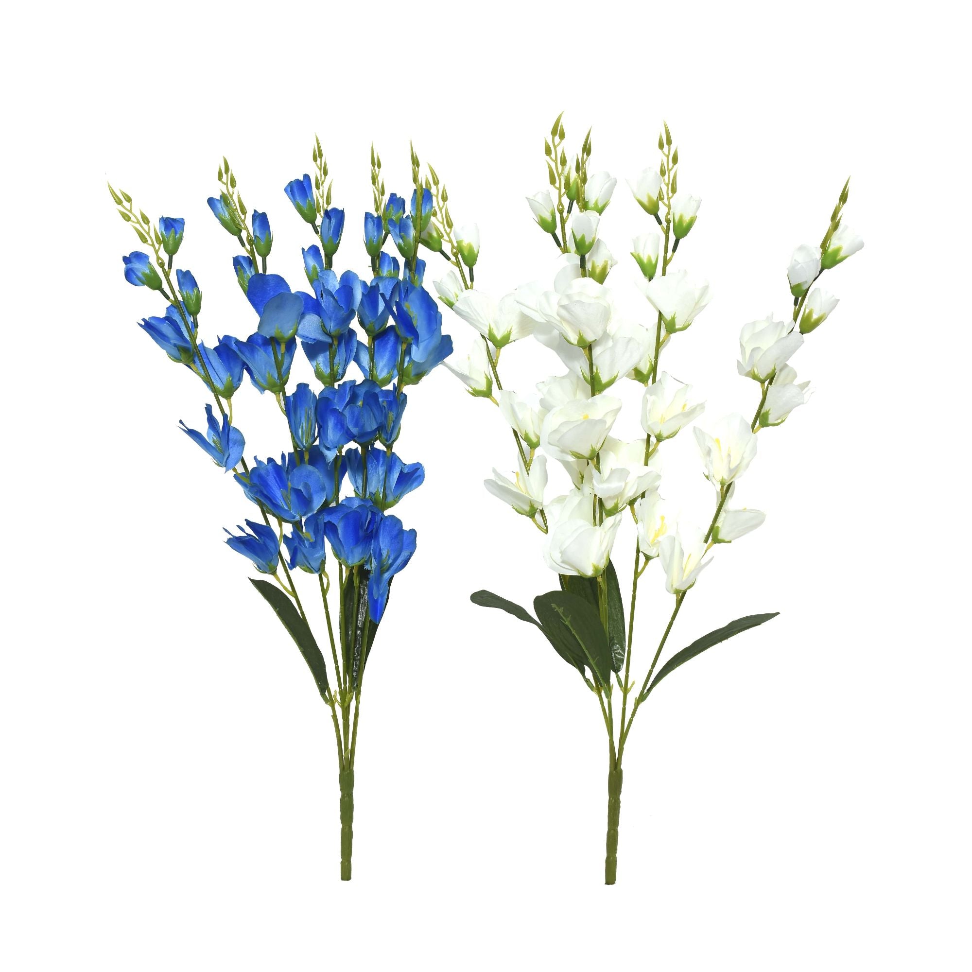 Graceful Bloom Stems