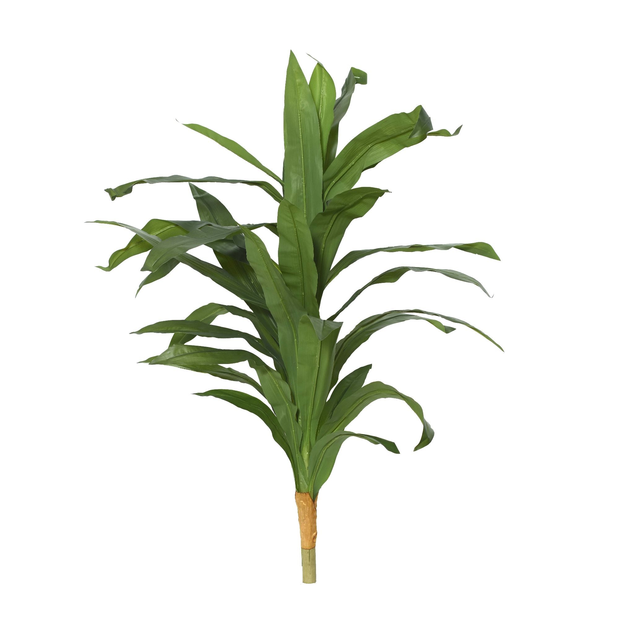 Broadleaf Dracaena Artificial Plant (Indoor & Outdoor)