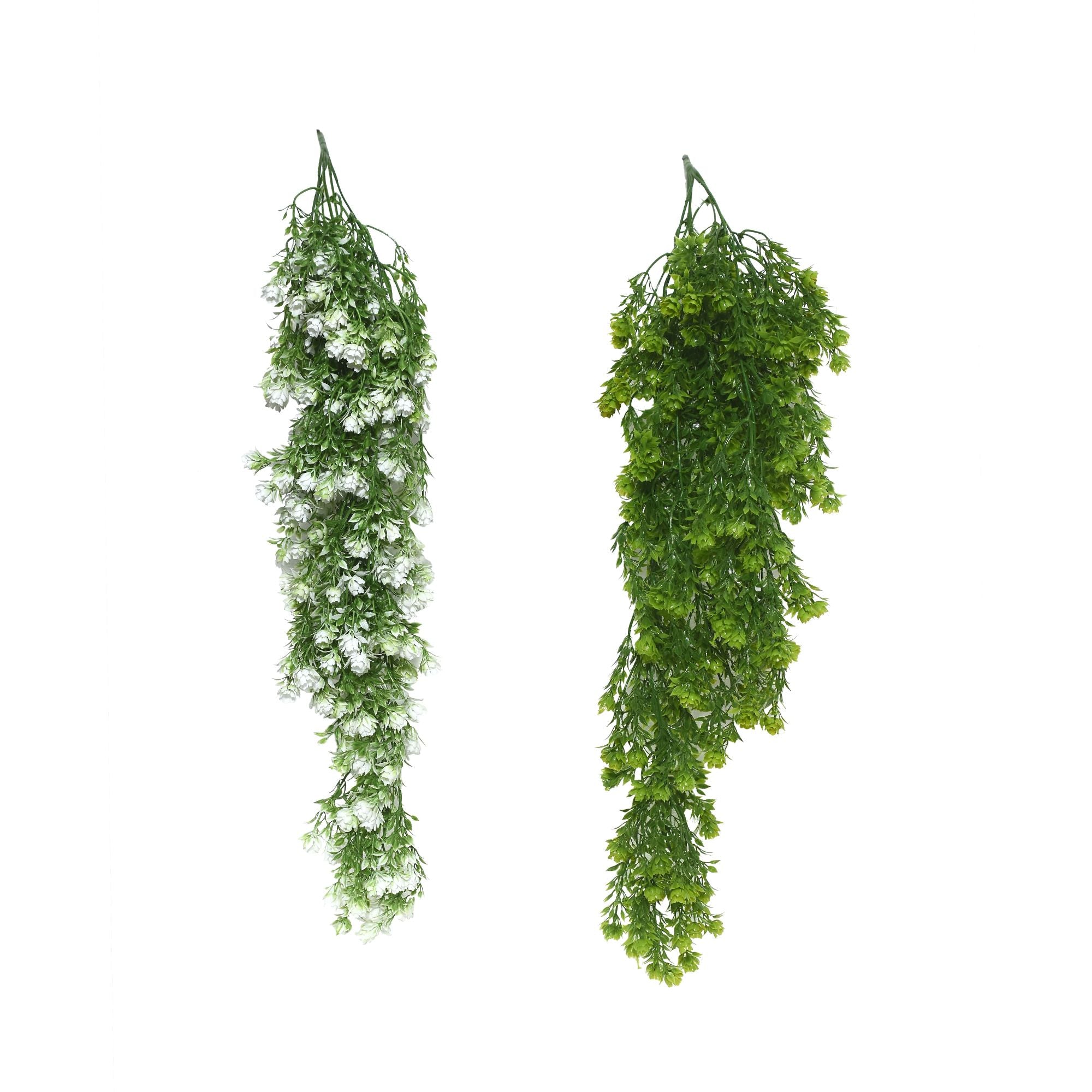 Cascading Ivy Green Trails